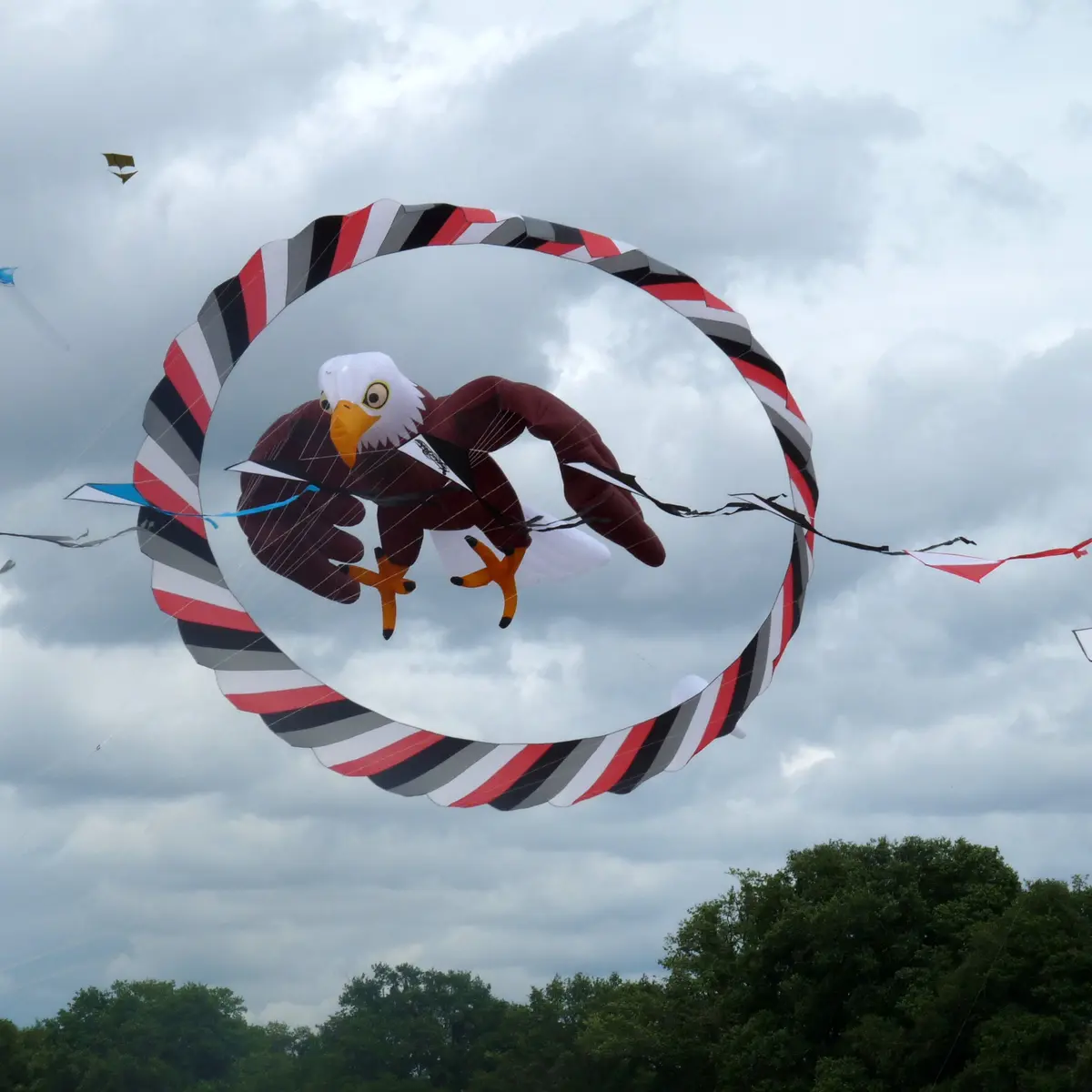cerf-volant aigle et cv couronne