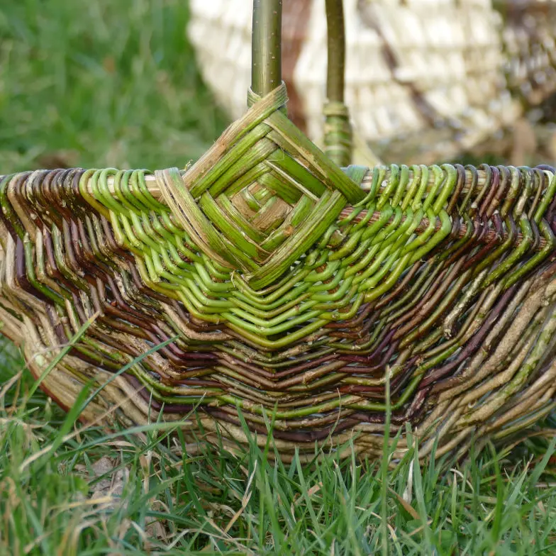 Panier sur arceaux