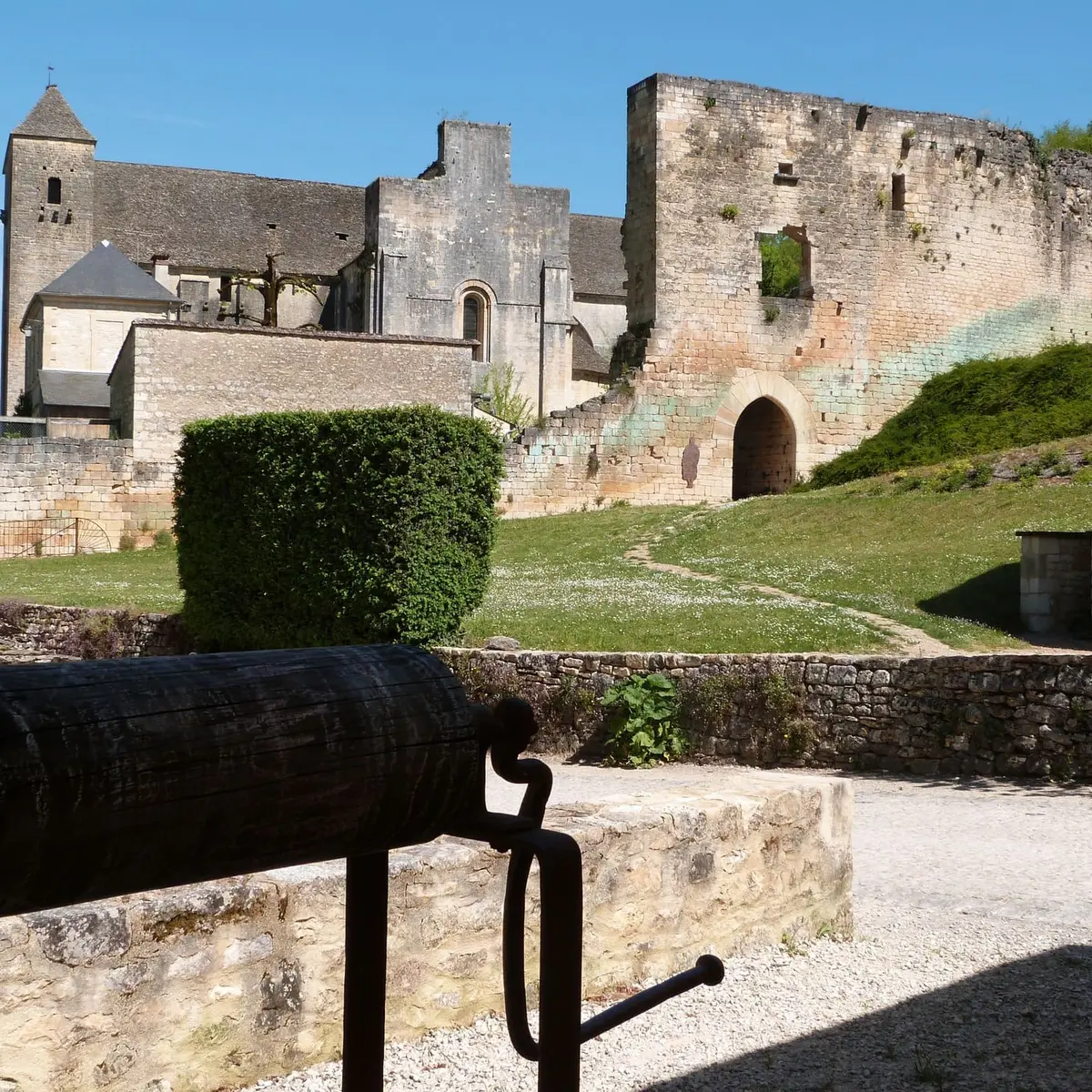 PCU_Saint Amand de Coly_avril 2014©M.Gabiole  (39)