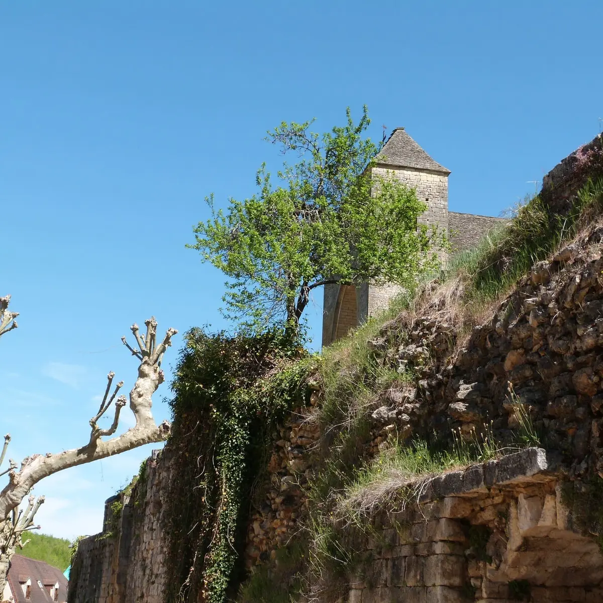 PCU_Saint Amand de Coly_avril 2014©Myriam G (44)