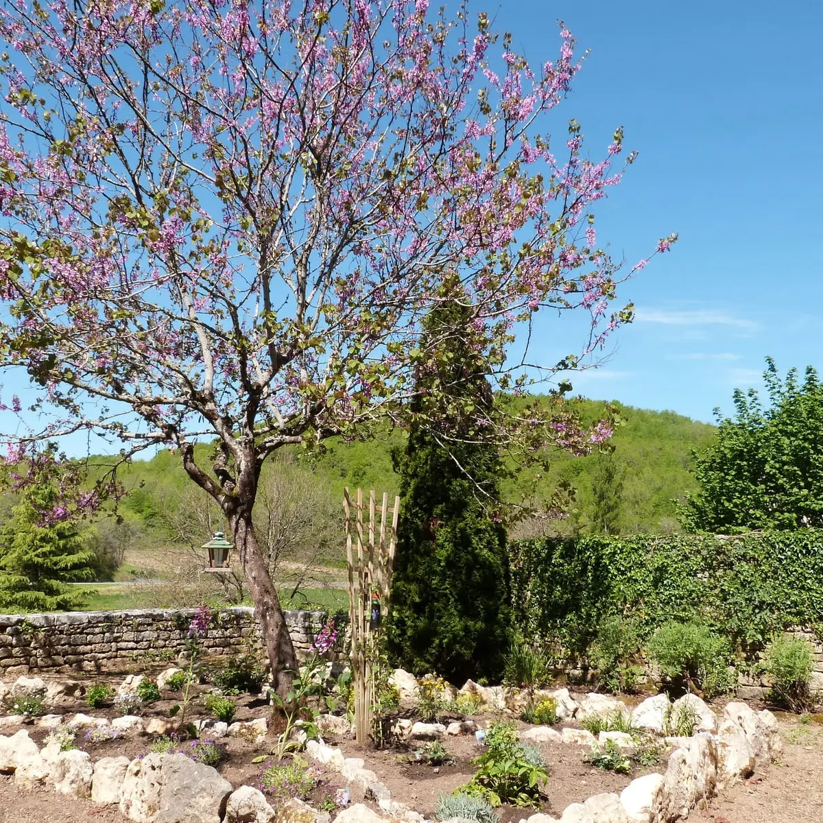 PCU_Saint Amand de Coly_avril 2014©Myriam G (45)