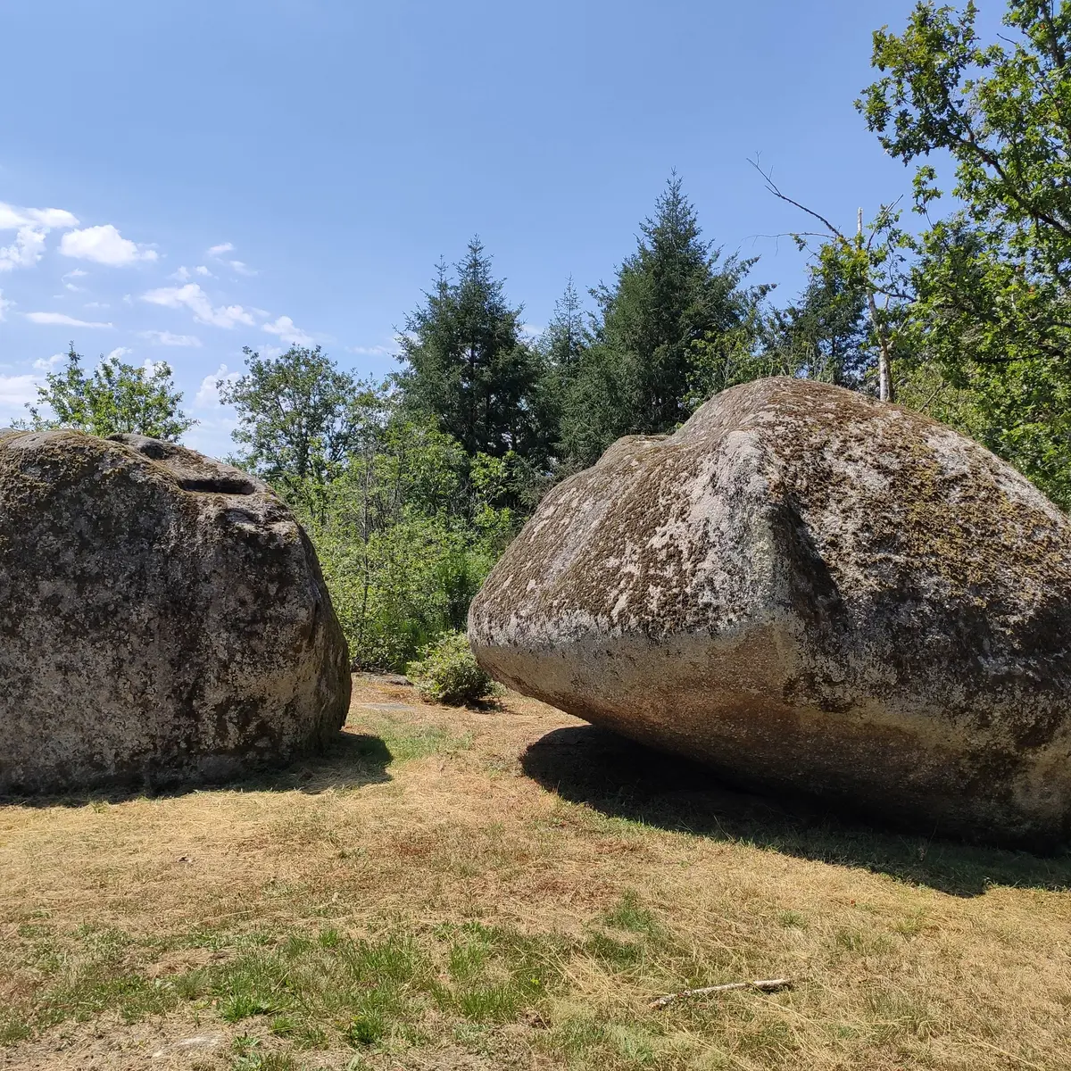 Puy des roches
