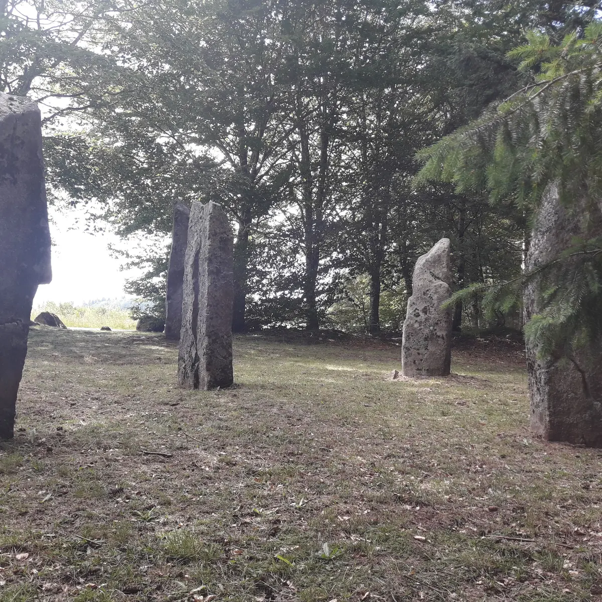 POIS1_LamaziereHte_VTT63_plaine_filles_HCC_GSalat