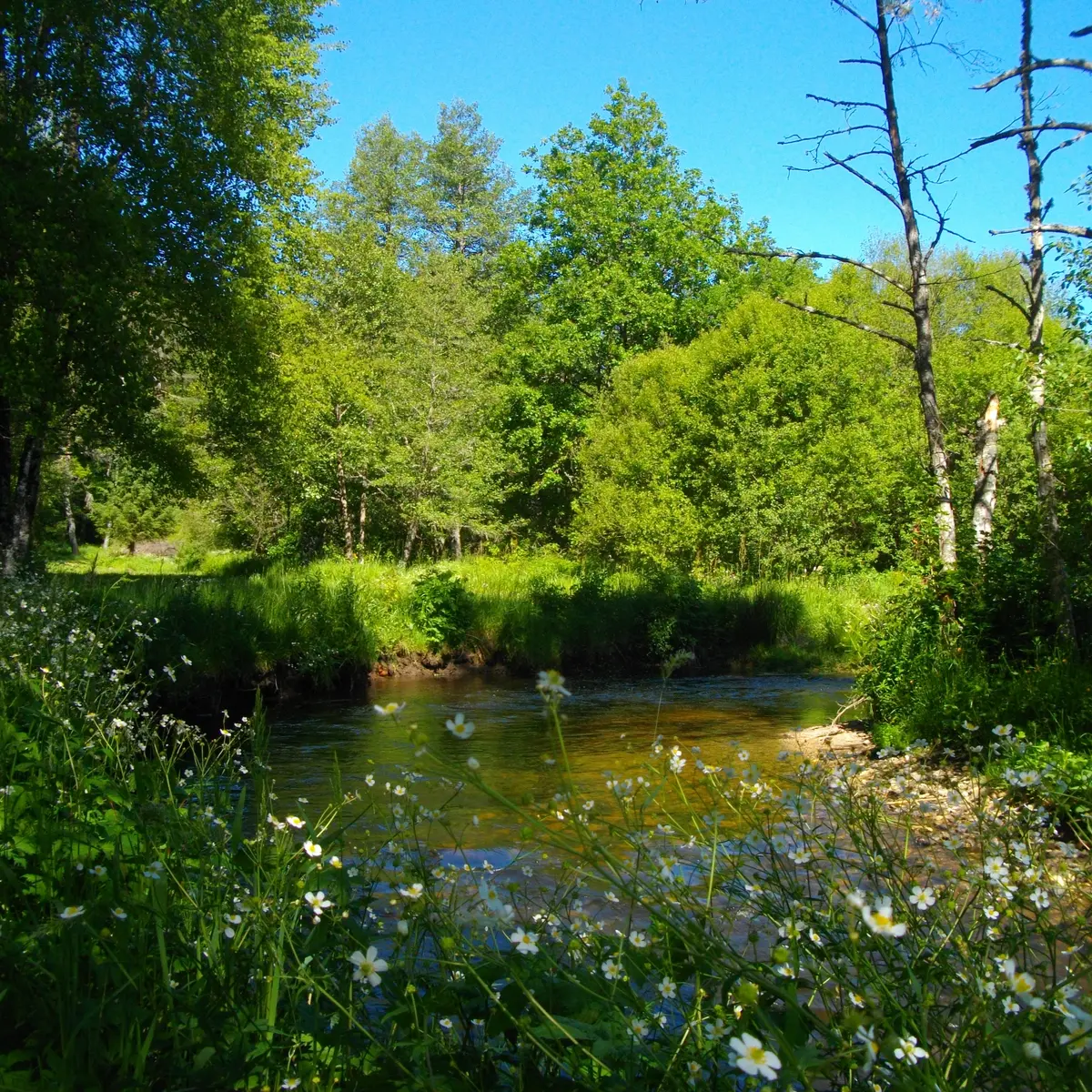 POIS2_Sornac_VTT49_Diège_HCC_Gsalat