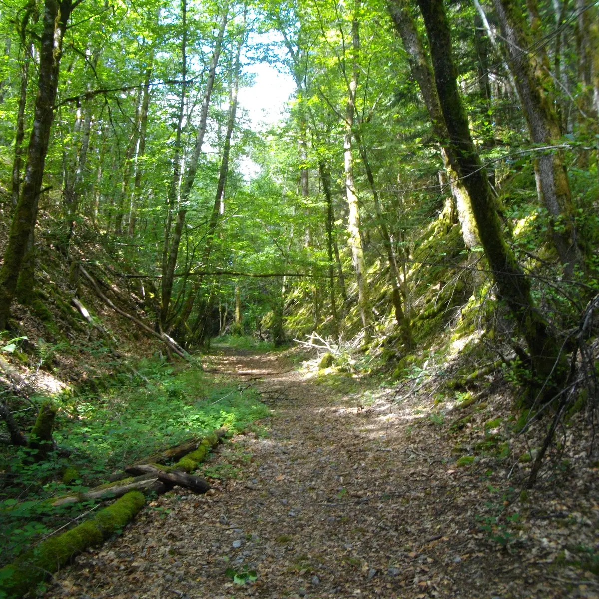 POIS4_STEtienne_voie1_GSalat_HCC