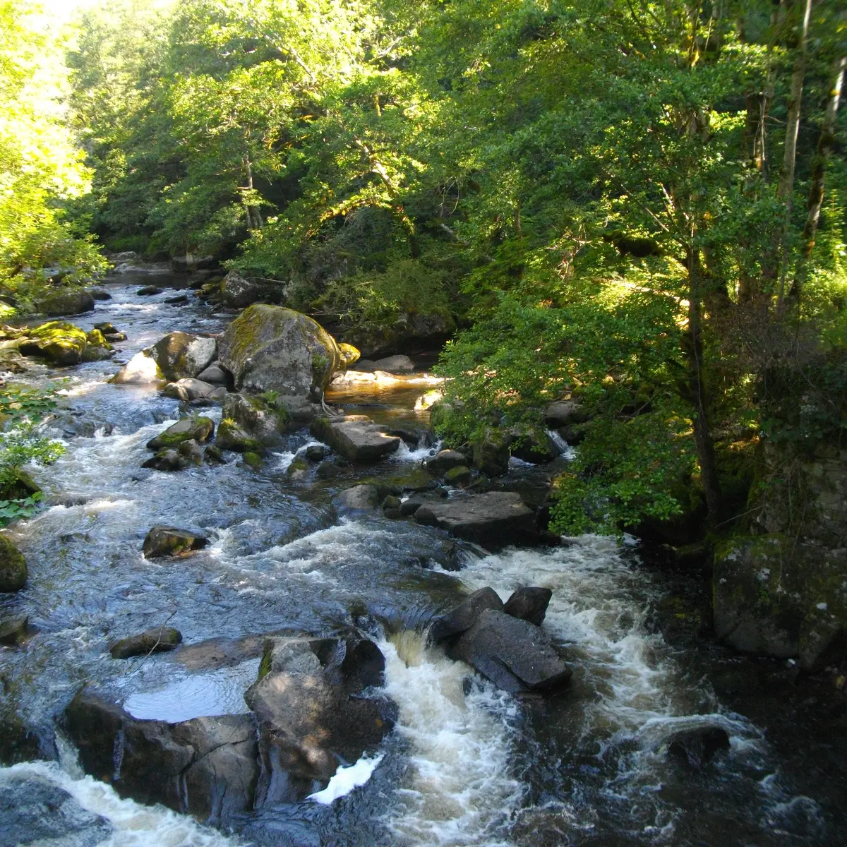 POIs3_Mestes_VTT18_Diege_Victorien_Mendras