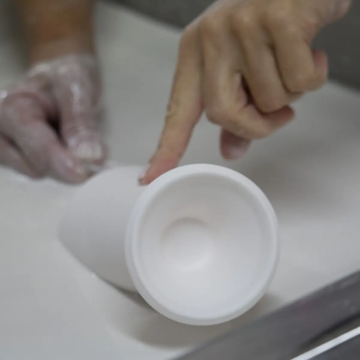 Visite guidée des Porcelaines Carpenet