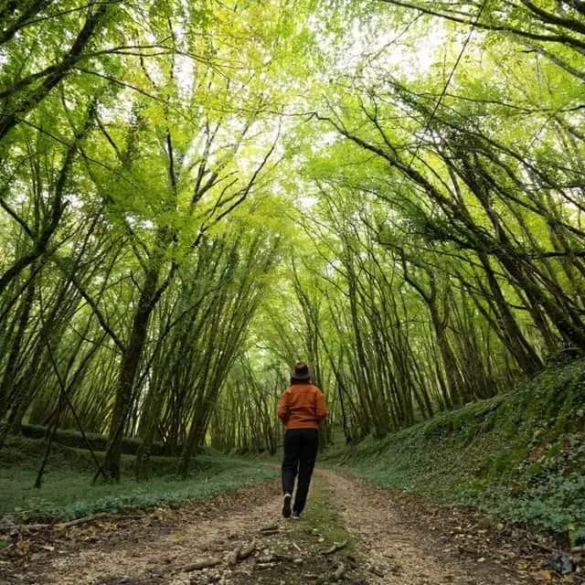PNA_ITI_influenceurs_Grand Site de France_122641772_2679982462218496_1788609348170131171_n_décembre2020©Jules, Explo