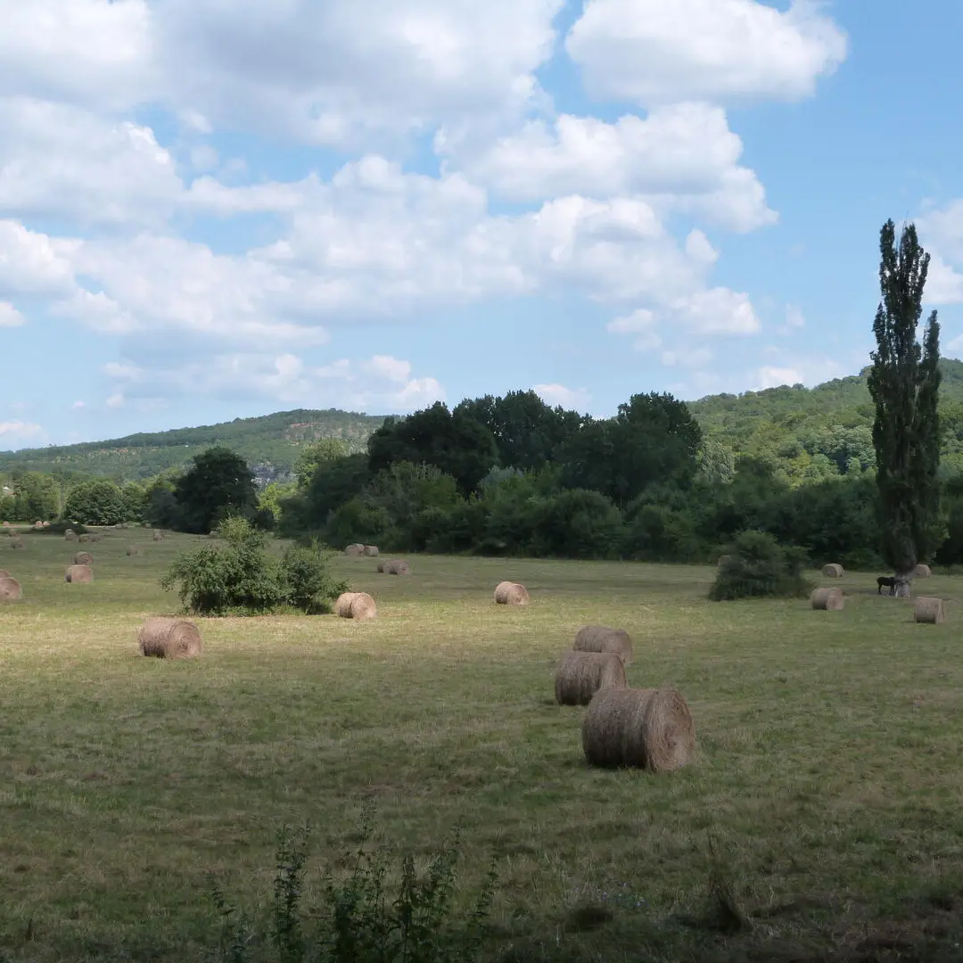 PNA_paysage_Vallée Vézère (183)