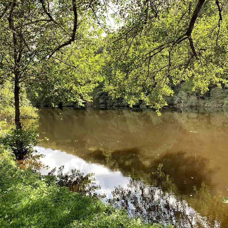 Parcours carpe de nuit à Saint Léonard de Noblat près de Limoges vue vers l'amont