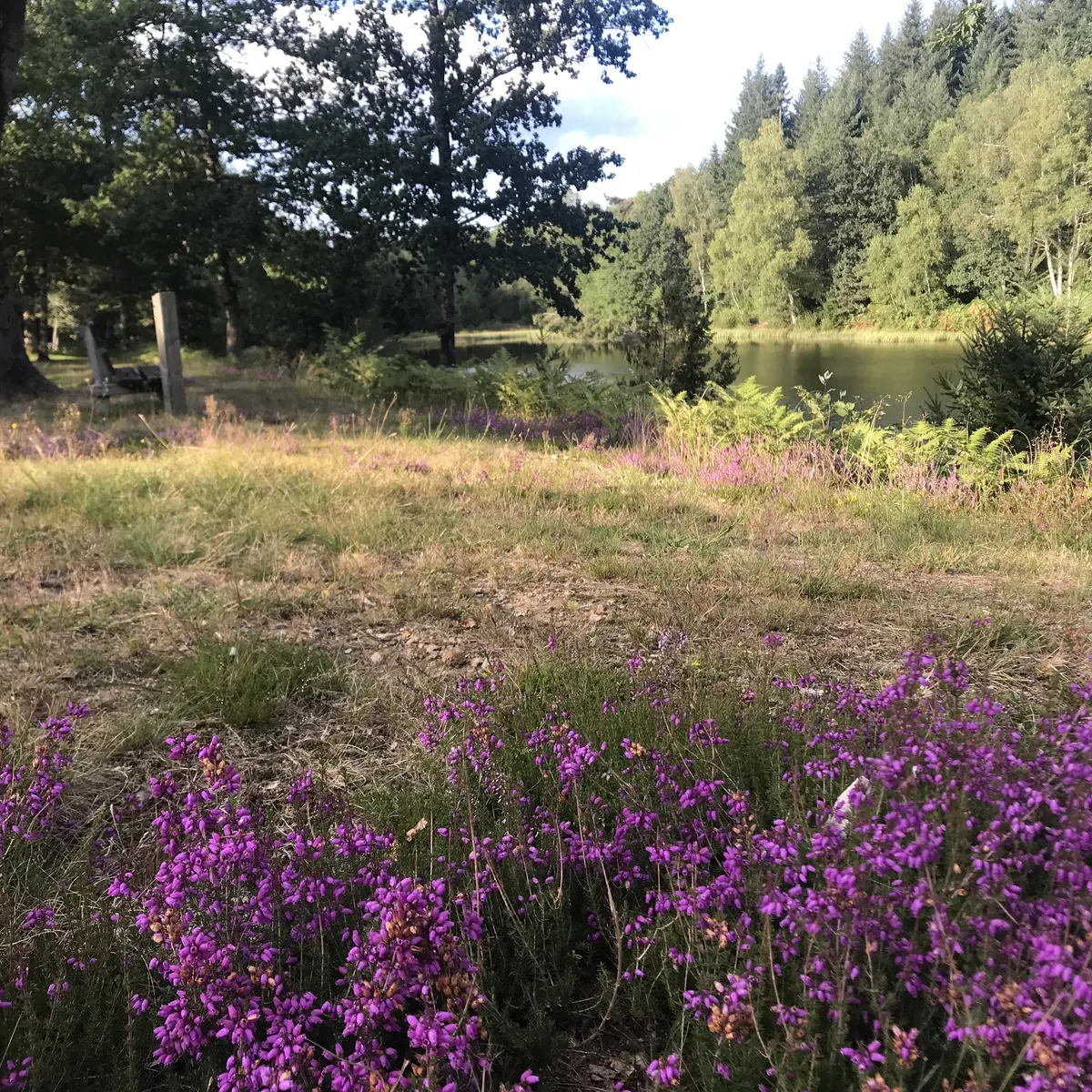 Parcours d'orientation Lignareix (2)