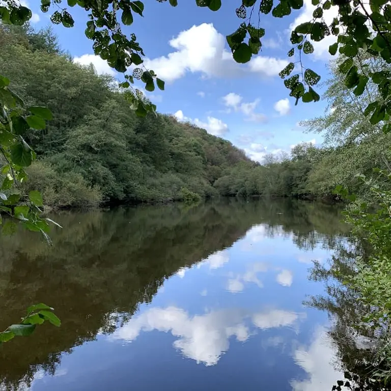 Parcours de Beaufort pour la pêche à la carpe de nuit en Limousin vue vers l'aval près du parking