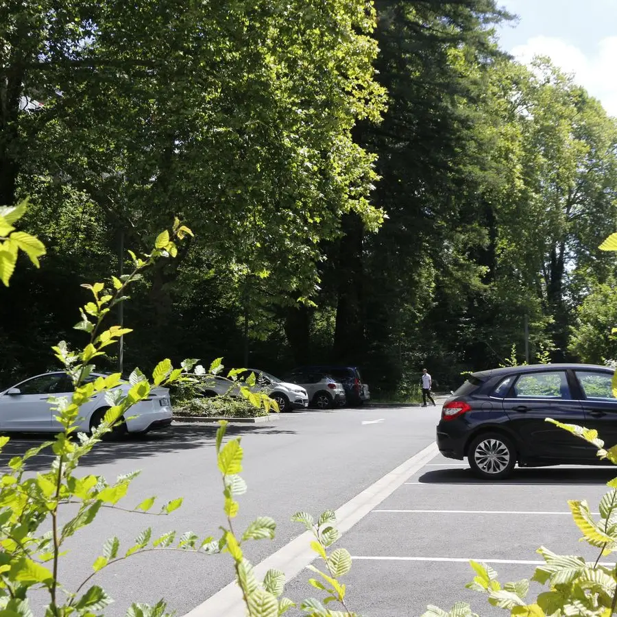 Parking Gare courte durée - arbres