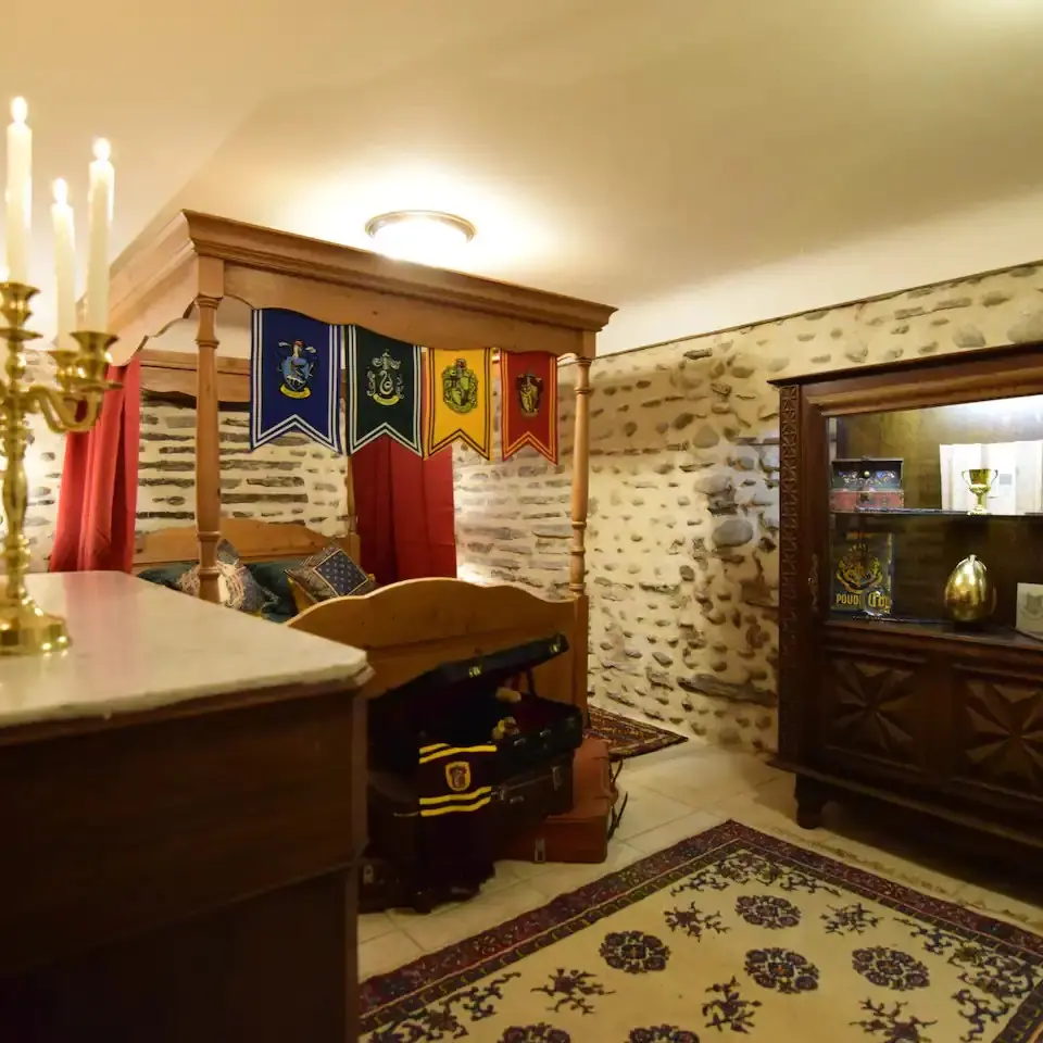 Appartement Paudlard - Pau - pièce principale