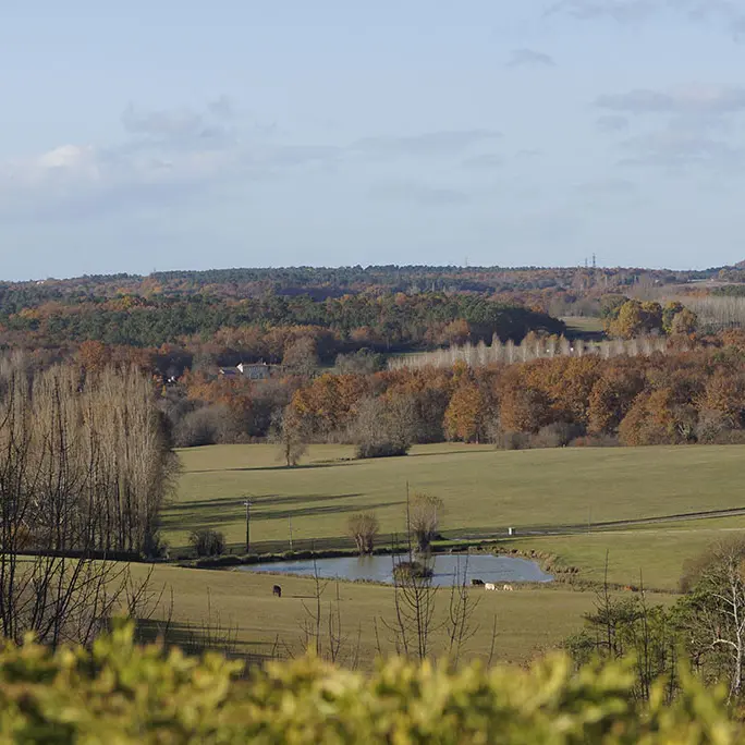 Paysages_campagne_Montpeyroux____MC_Grasseau_-_OT_Bergerac__2_