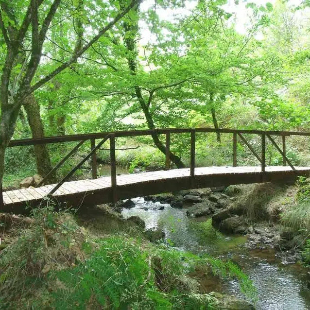 Sentier du Bandiat_1