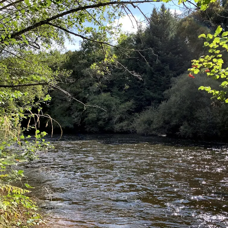 Pêche à l'ombre commun en Haute-Vienne à Saint Léonard de Noblat secteur du Moulin de l'Artige