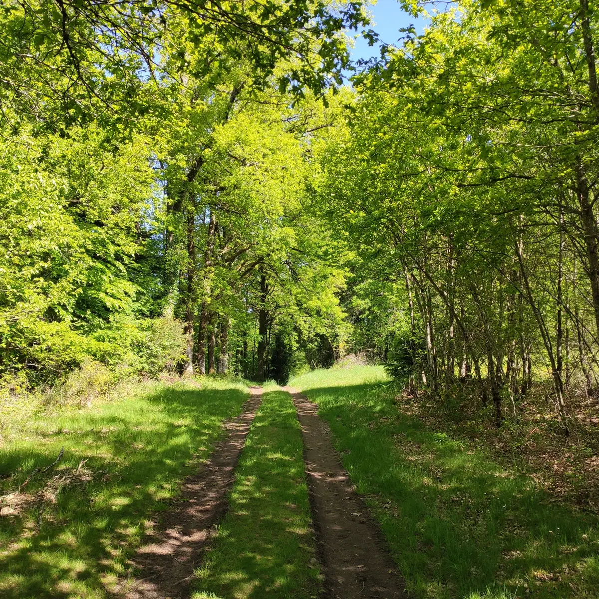 Photo d'appel 2 - Chemin du Puy Vieux