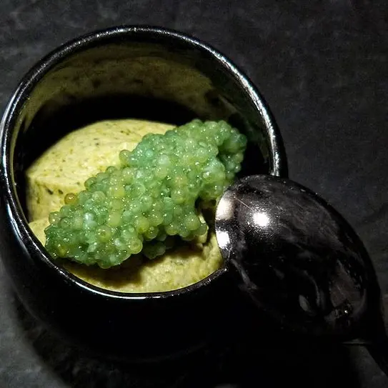 Photo domaine de la minotiere