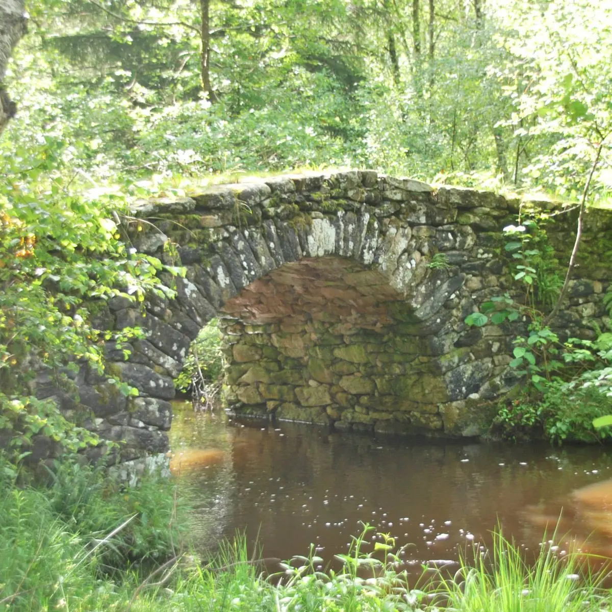 Photo_generale_-_Bugeat_-_circuit_37_-_Pont_Romain_-_auteur_G_Salat