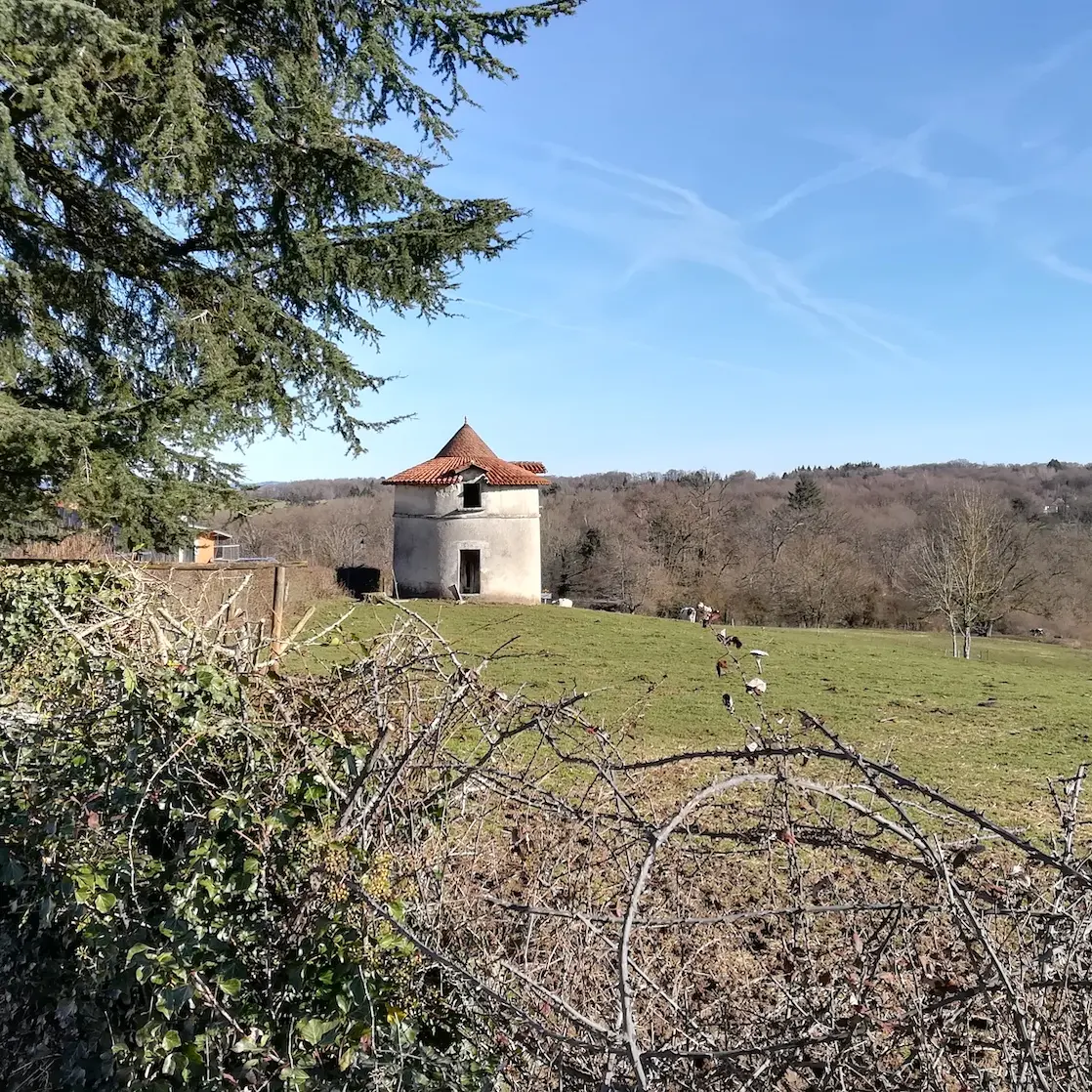 Pigeonnier_Aureil