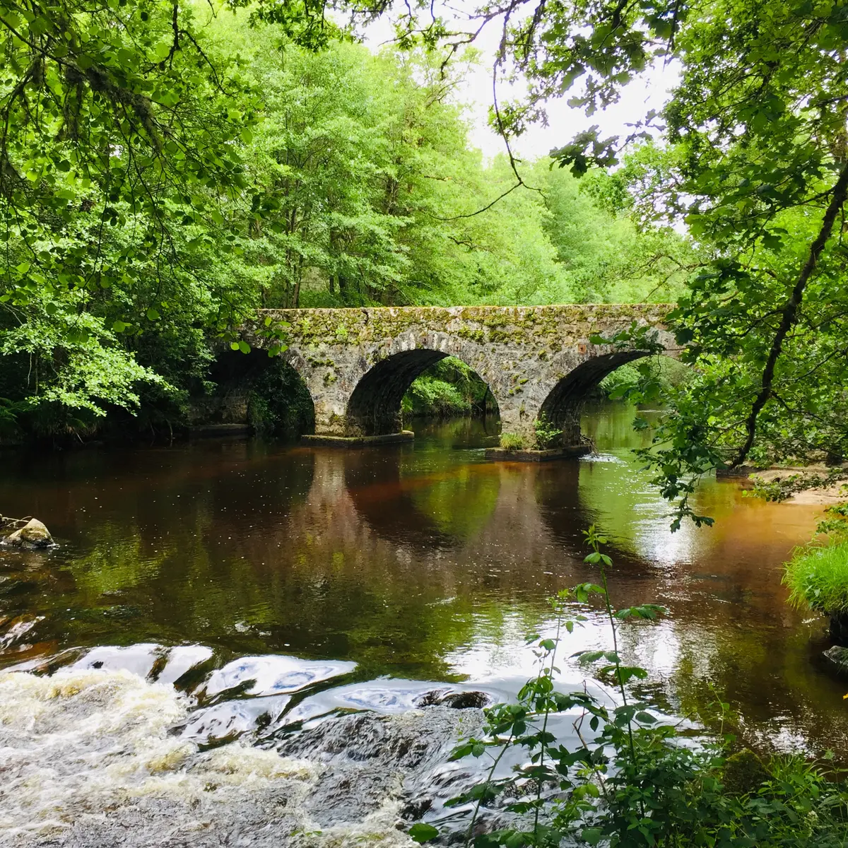Pont de Claveyrolas, Nedde