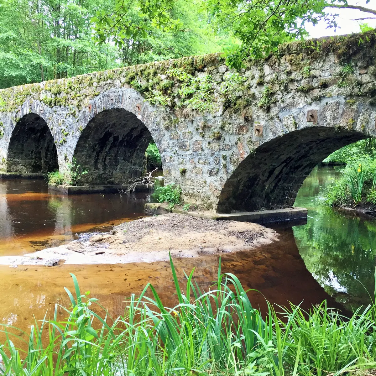 Pont de Claveyrolas, Nedde