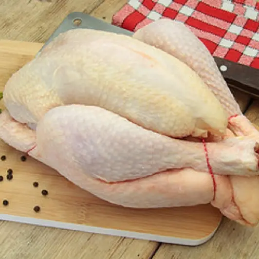 Poulet_3