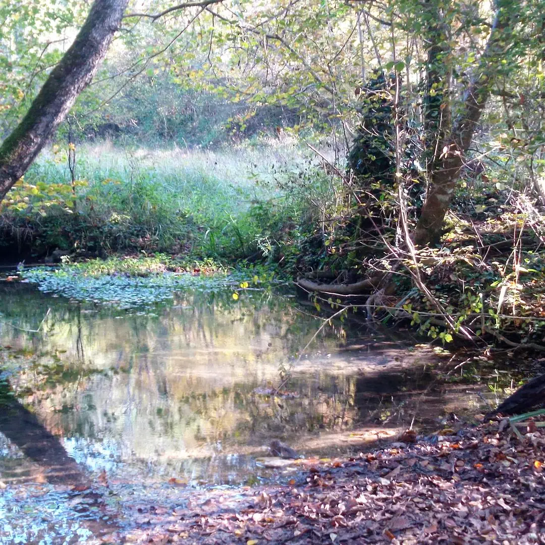 Randonnée-Rouffignac (11)