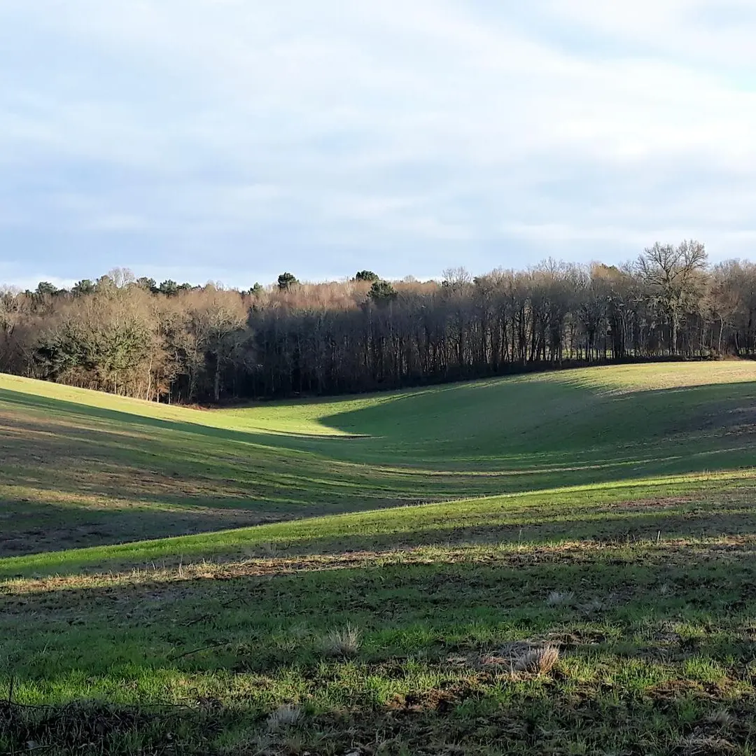 Randonnée-Rouffignac-L'Herm (1)