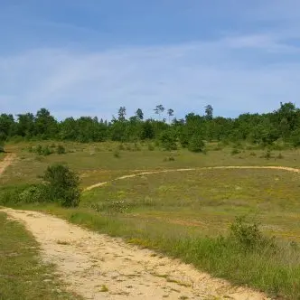 Rando Causse de Savignac - Illustration 2