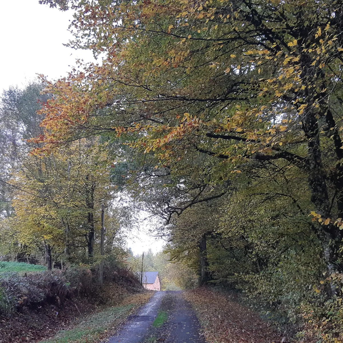 Rando du Ganaveix au Bradascou Condat sur Ganaveix ©Audrey Blanchet  (2)