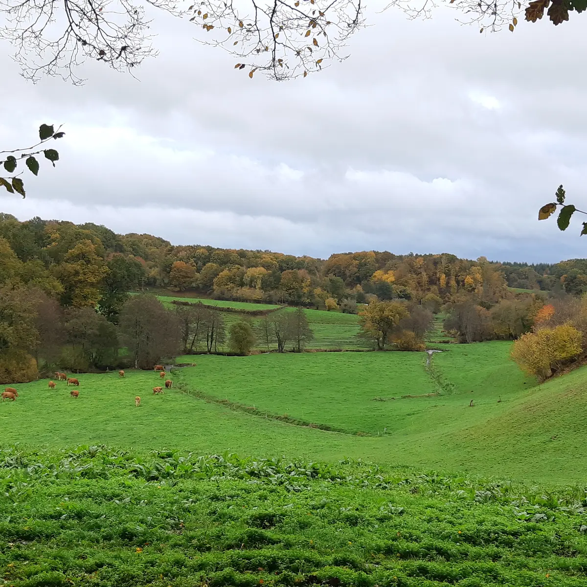 Rando du Ganaveix au Bradascou Condat sur Ganaveix ©Audrey Blanchet  (5)