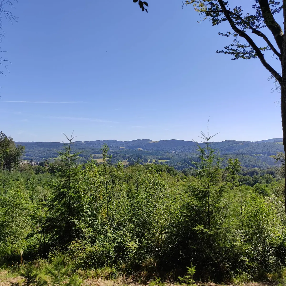 Rempnat - Circuit du Puy Pointu