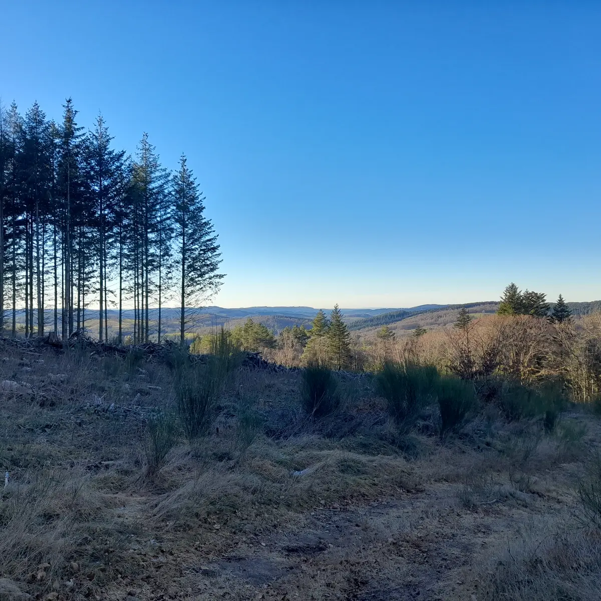 Reco Terra Tarnac - ©Nat Jumelle (15)