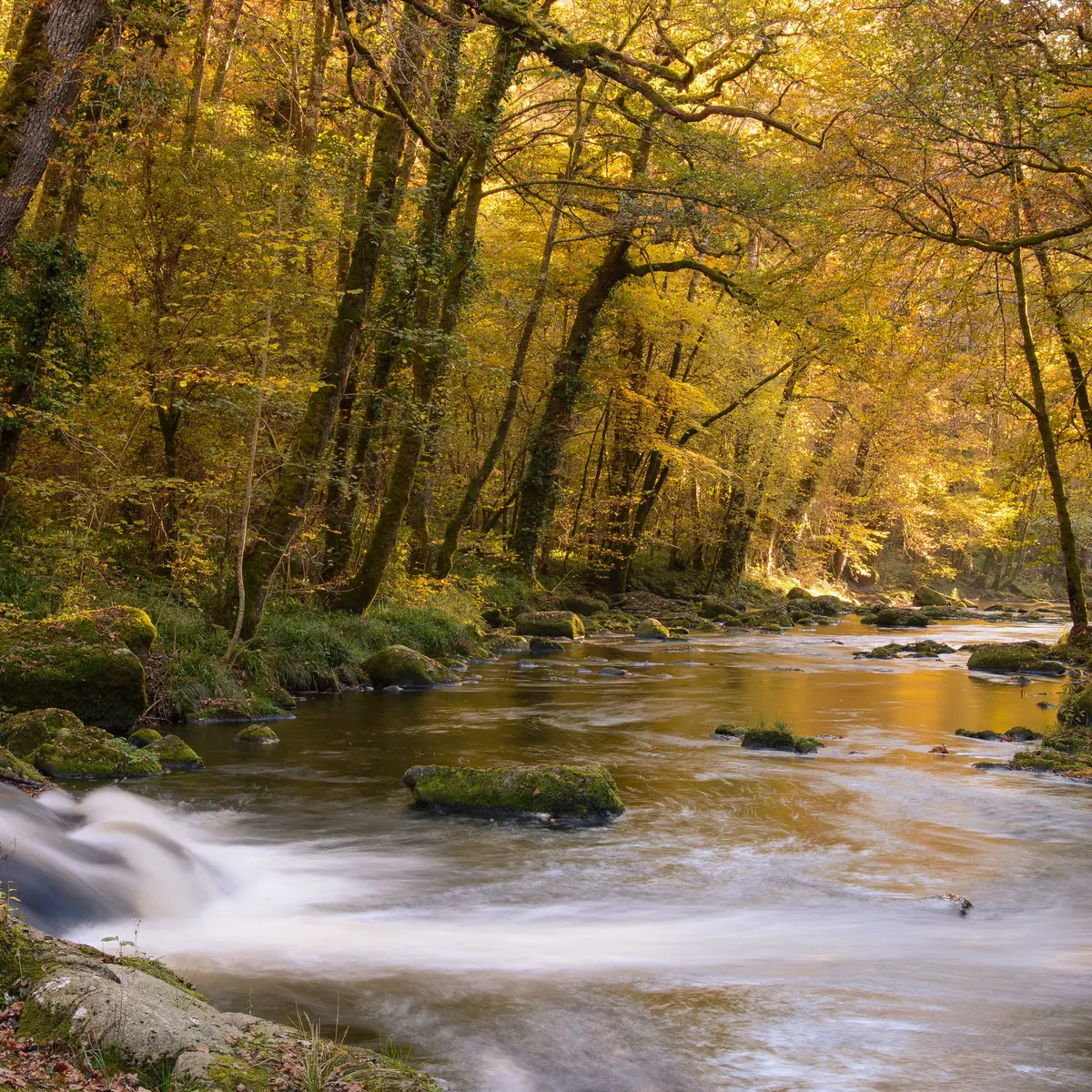 Rivière Vézère - ©Bruno Férignac