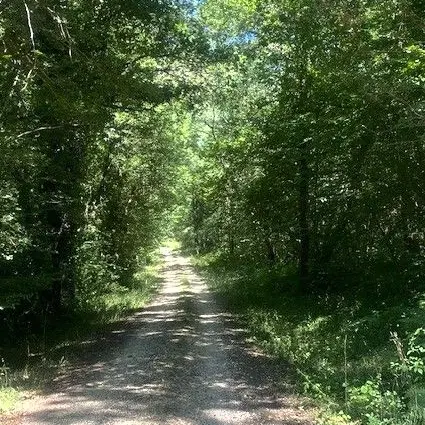 SAINT ANTOINE D'AUBEROCHE-Boucle de Puybertie-Chemin