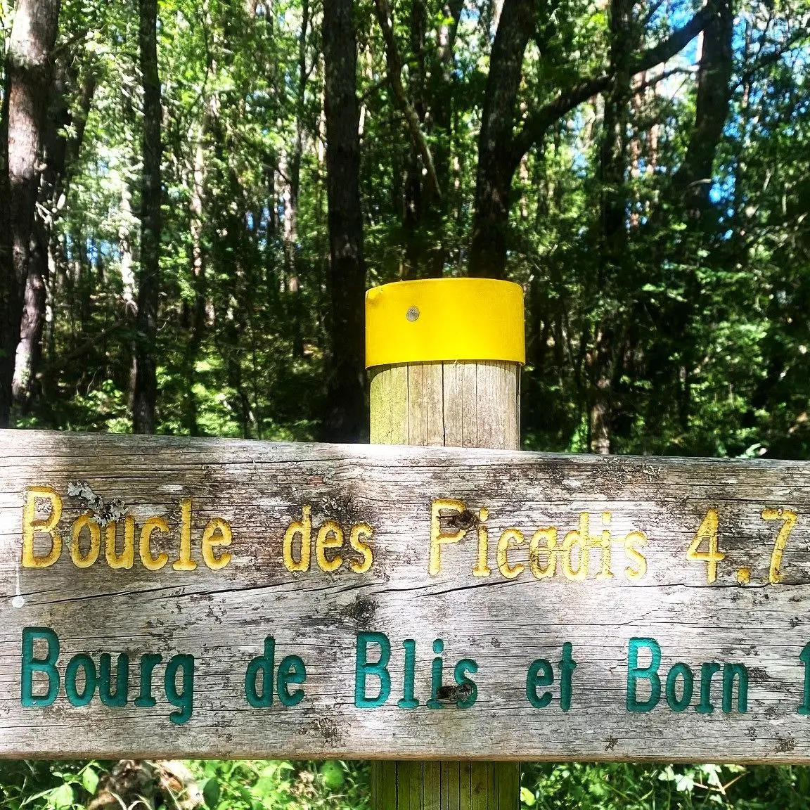 SAINT ANTOINE D'AUBEROCHE-Boucle des Picadis-Signalétique