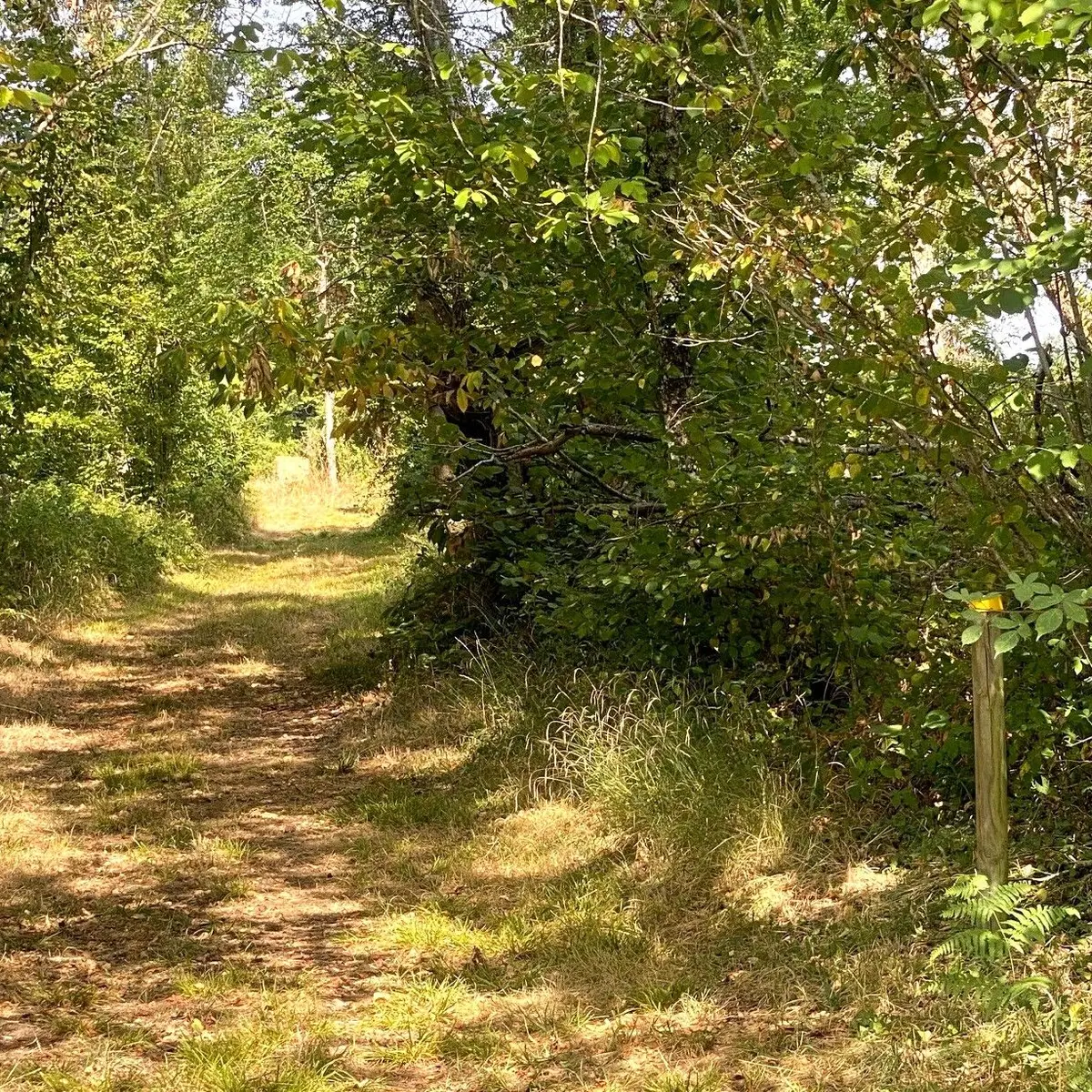 SAINT GERAC-Boucle du Plateau-Chemin-Poteau