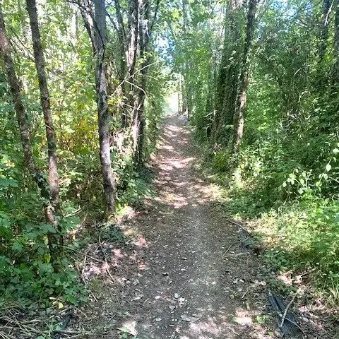 SAINT LAURENT SUR MANOIRE-Boucle des Chaputs-Chemin
