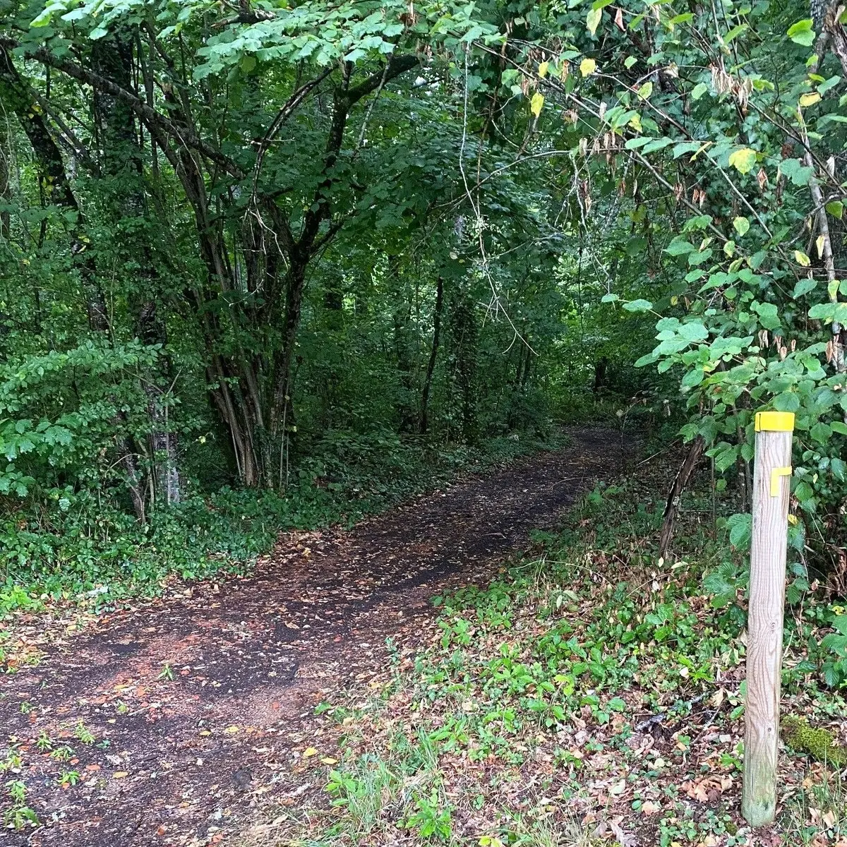 SAINT-MAYME DE PEREYROL-Boucle Saint-Maymoise-Chemin-Poteau