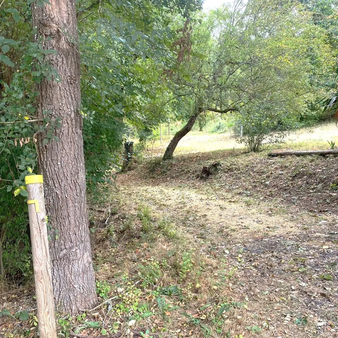 SAINT-PAUL-DE-SERRE-Boucle des Mangours-Chemin-Poteau