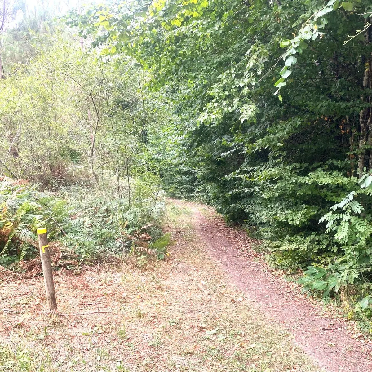 SORGES-Boucle des chateaux-Chemin 2