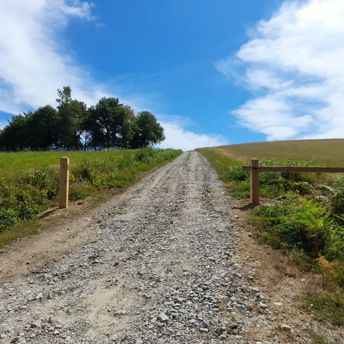 Saint-Hilaire-les-Courbes - Puy du Mas 2 © N Jumelle