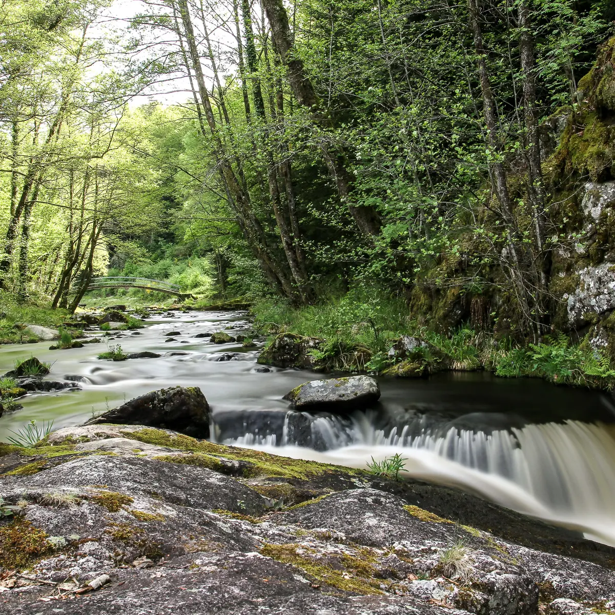 Saut du Loup - © Nicolas Granger