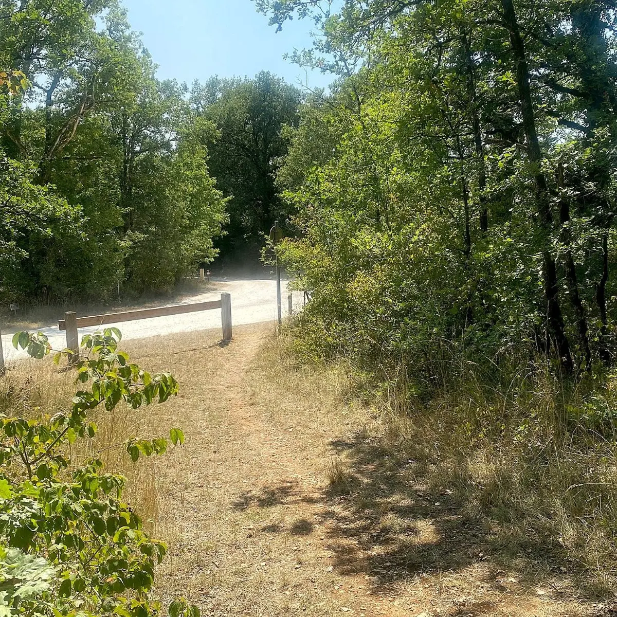 Savignac les églises-Boucle de la Hache-Chemin