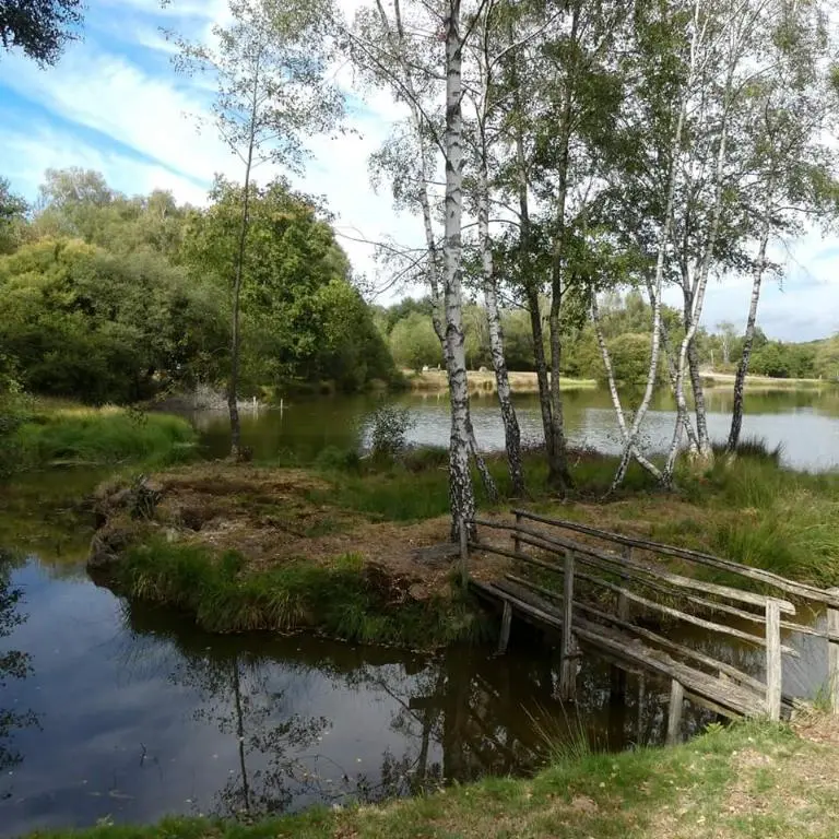Tèrra Avenura du bruit dans les bruyères