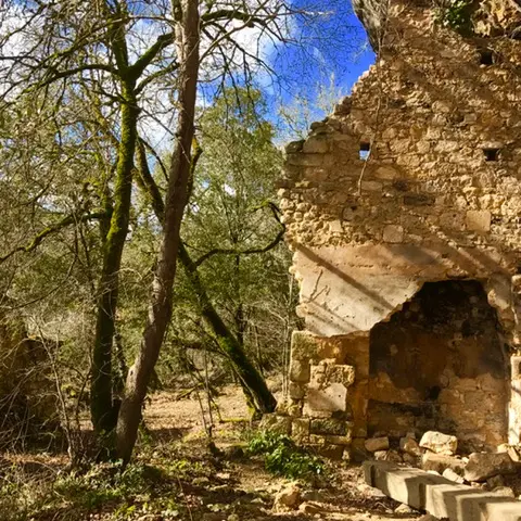 Site Troglo forêt de Campagne©A.Borderie (1)