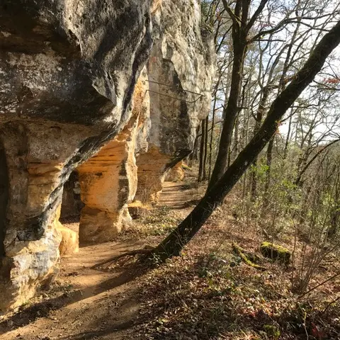 Site Troglo forêt de Campagne©A.Borderie (10)