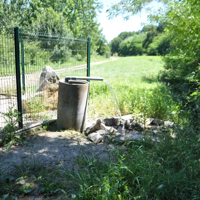 Source du Buccuron - forage